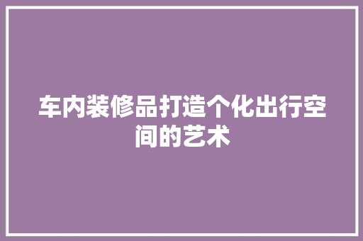 车内装修品打造个化出行空间的艺术  第1张