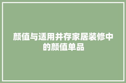 颜值与适用并存家居装修中的颜值单品
