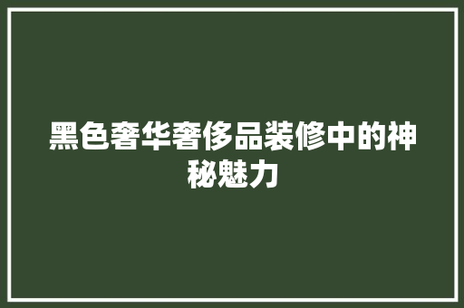 黑色奢华奢侈品装修中的神秘魅力