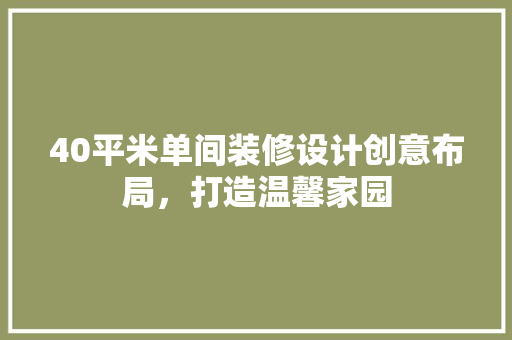 40平米单间装修设计创意布局，打造温馨家园