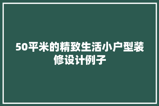 50平米的精致生活小户型装修设计例子