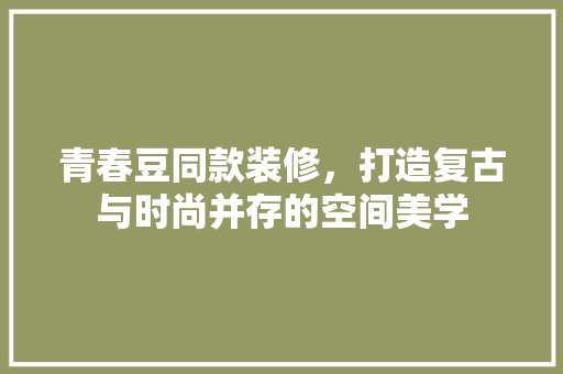 青春豆同款装修，打造复古与时尚并存的空间美学