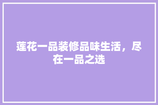 莲花一品装修品味生活，尽在一品之选