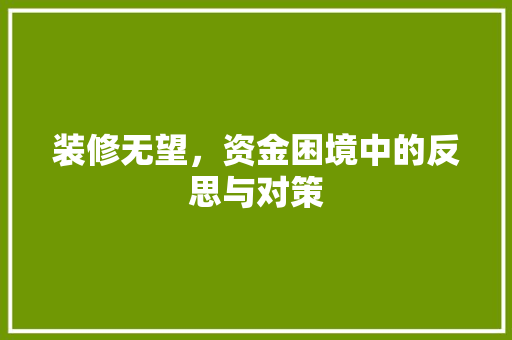 装修无望，资金困境中的反思与对策
