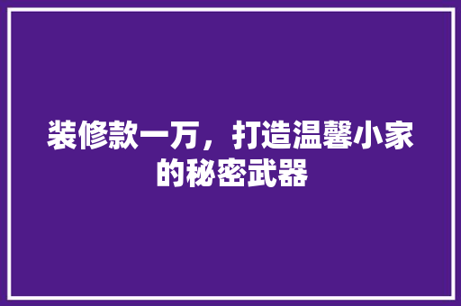 装修款一万，打造温馨小家的秘密武器