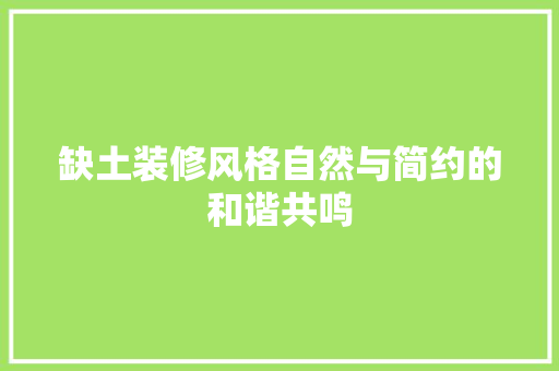 缺土装修风格自然与简约的和谐共鸣