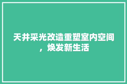 天井采光改造重塑室内空间，焕发新生活