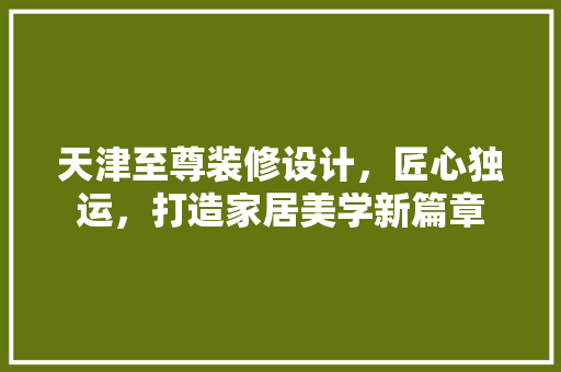 天津至尊装修设计，匠心独运，打造家居美学新篇章