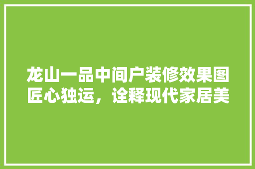 龙山一品中间户装修效果图匠心独运，诠释现代家居美学