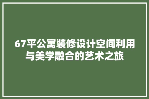 67平公寓装修设计空间利用与美学融合的艺术之旅