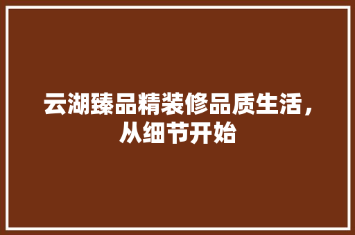 云湖臻品精装修品质生活，从细节开始