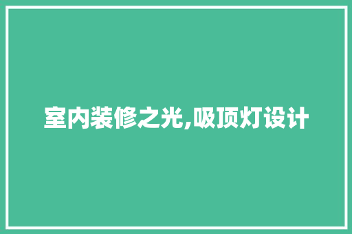 室内装修之光,吸顶灯设计  第1张