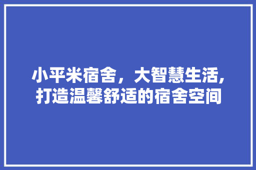 小平米宿舍，大智慧生活,打造温馨舒适的宿舍空间