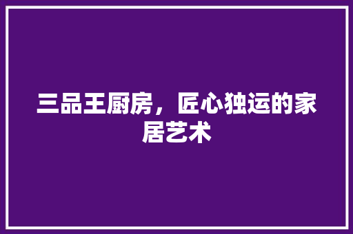 三品王厨房，匠心独运的家居艺术