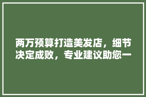 两万预算打造美发店，细节决定成败，专业建议助您一臂之力