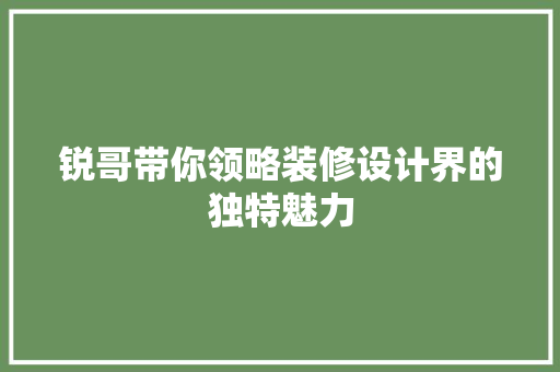 锐哥带你领略装修设计界的独特魅力