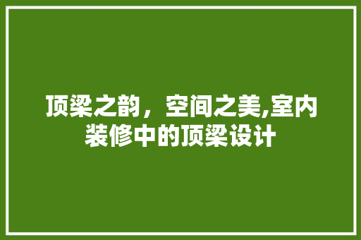 顶梁之韵，空间之美,室内装修中的顶梁设计