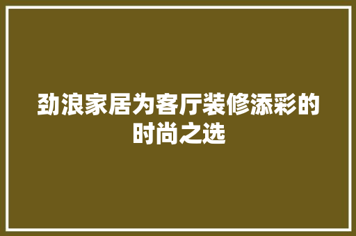 劲浪家居为客厅装修添彩的时尚之选