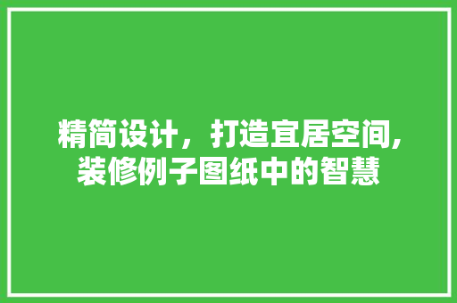 精简设计，打造宜居空间,装修例子图纸中的智慧  第1张
