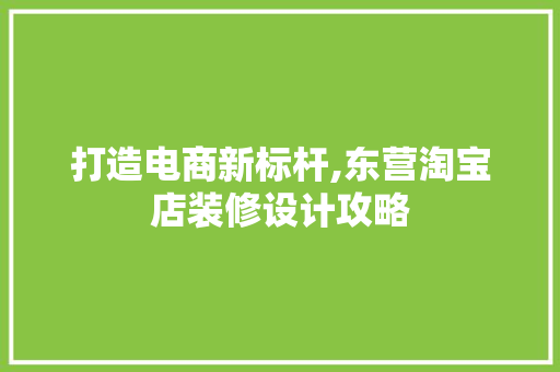 打造电商新标杆,东营淘宝店装修设计攻略