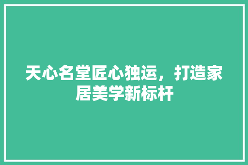 天心名堂匠心独运，打造家居美学新标杆