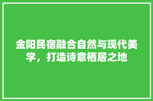 金阳民宿融合自然与现代美学，打造诗意栖居之地