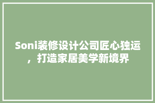 Soni装修设计公司匠心独运，打造家居美学新境界