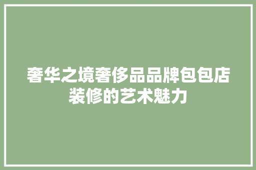 奢华之境奢侈品品牌包包店装修的艺术魅力