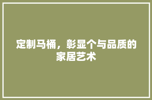 定制马桶，彰显个与品质的家居艺术