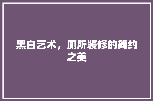 黑白艺术，厕所装修的简约之美