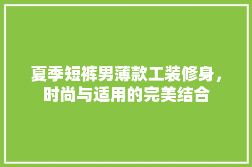 夏季短裤男薄款工装修身，时尚与适用的完美结合  第1张