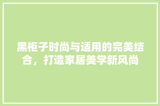 黑柜子时尚与适用的完美结合，打造家居美学新风尚
