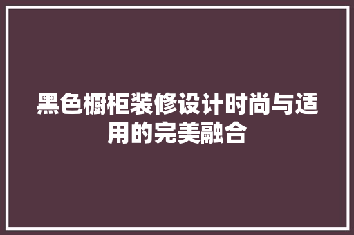 黑色橱柜装修设计时尚与适用的完美融合