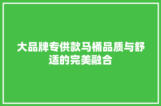 大品牌专供款马桶品质与舒适的完美融合
