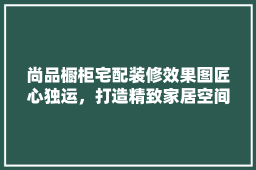尚品橱柜宅配装修效果图匠心独运，打造精致家居空间  第1张