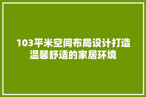 103平米空间布局设计打造温馨舒适的家居环境