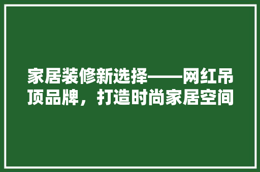 家居装修新选择——网红吊顶品牌，打造时尚家居空间  第1张