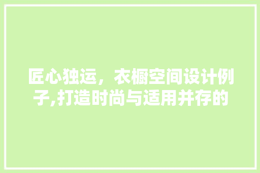 匠心独运，衣橱空间设计例子,打造时尚与适用并存的家居典范