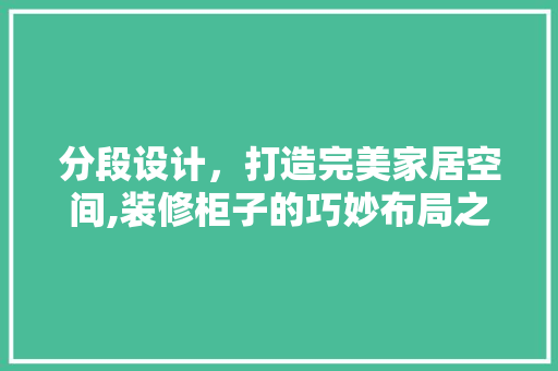 分段设计，打造完美家居空间,装修柜子的巧妙布局之路