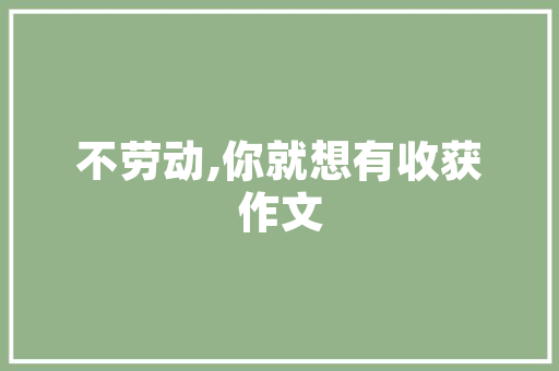 匠心独运，焕新生活,现代房屋装修设计之路