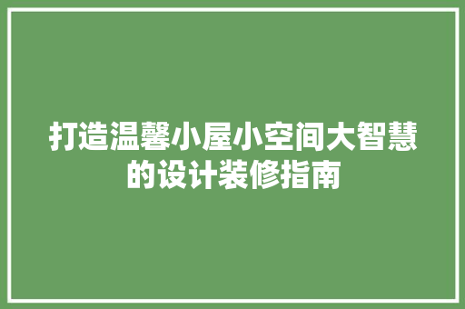 打造温馨小屋小空间大智慧的设计装修指南