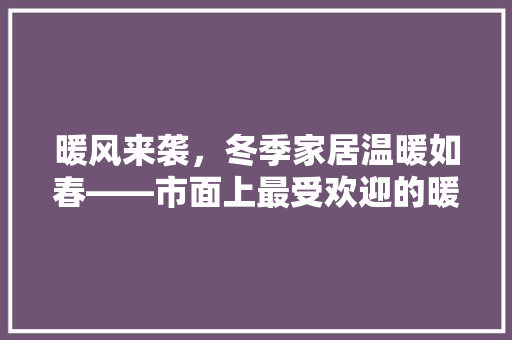 暖风来袭，冬季家居温暖如春——市面上最受欢迎的暖风机推荐