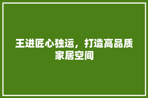 王进匠心独运，打造高品质家居空间  第1张