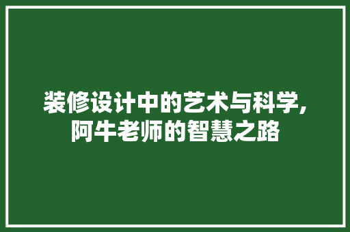 装修设计中的艺术与科学,阿牛老师的智慧之路