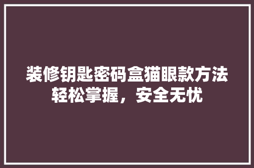 装修钥匙密码盒猫眼款方法轻松掌握，安全无忧