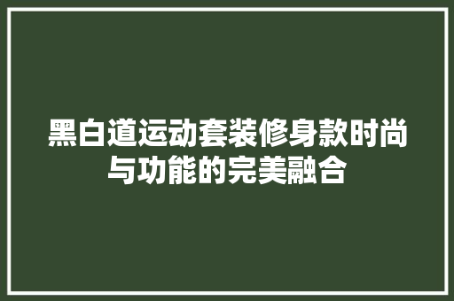 黑白道运动套装修身款时尚与功能的完美融合  第1张