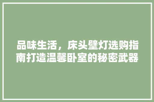 品味生活，床头壁灯选购指南打造温馨卧室的秘密武器