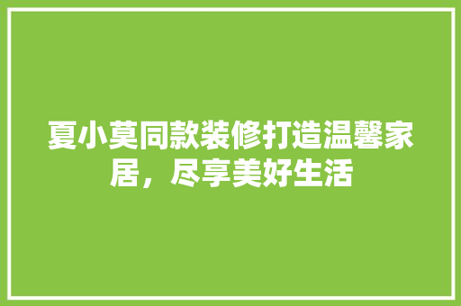 夏小莫同款装修打造温馨家居，尽享美好生活