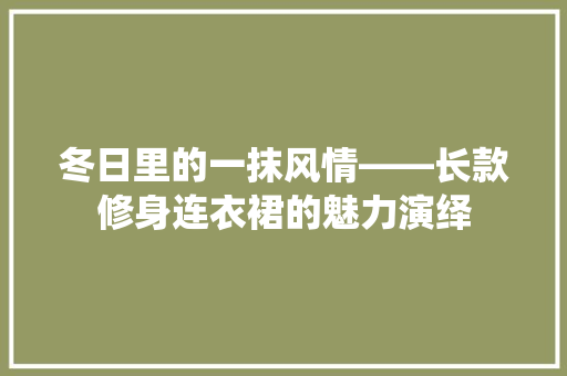 冬日里的一抹风情——长款修身连衣裙的魅力演绎