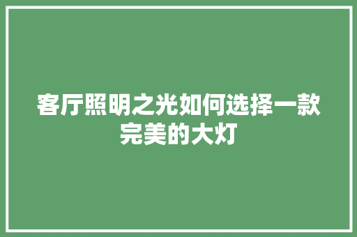 客厅照明之光如何选择一款完美的大灯